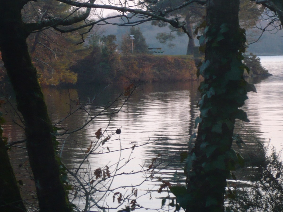 Sobre parques y otras hierbas: segunda&nbsp;entrega