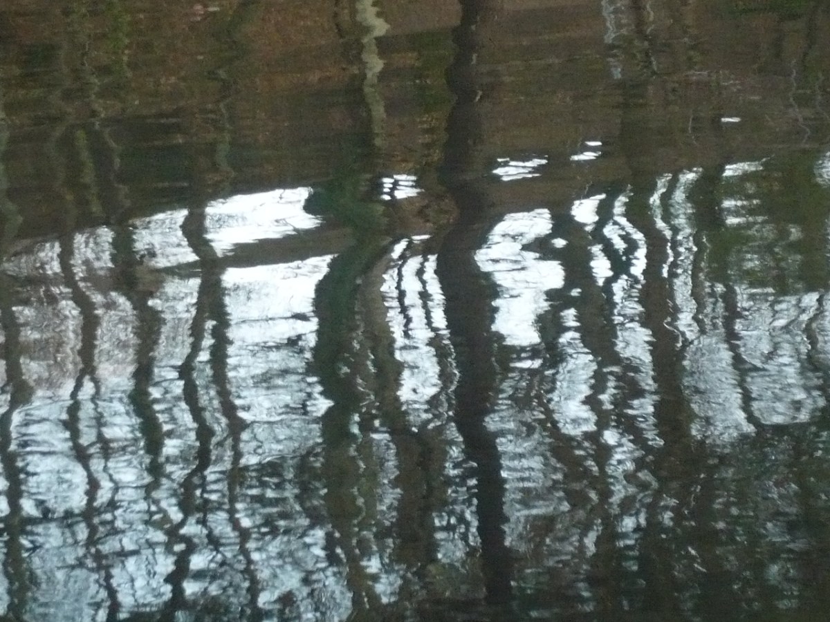 Sobre parques y otras hierbas: primera&nbsp;entrega